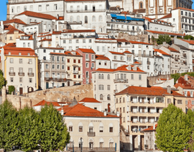 Najlepsi usługodawcy ślubni - Coimbra